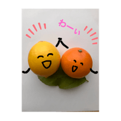 レモンのレンちゃん