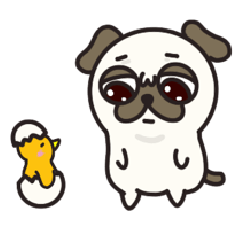 犬のパグっチョ 第2弾