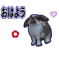 使える○いやし系ほんわかウサギのスタンプ
