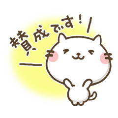 あなたについて行きたいシロにゃんこ