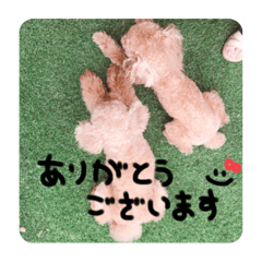 るんろーこむあず。