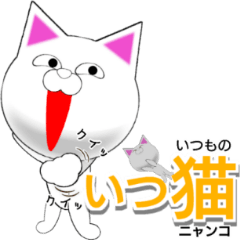 いつ猫 いつものニャンコ