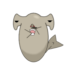 海の生き物は◯◯中・・・