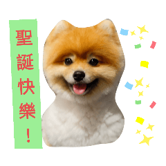 Austin_20201207170637