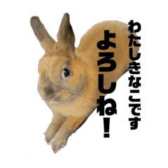 うさぎのきなこちゃんスタンプ
