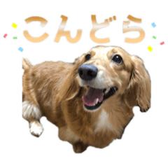 YouTube ドラミチャンネル 大地スタンプ