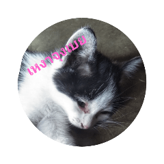 First_20210126124953