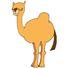 ラクダのリルメル