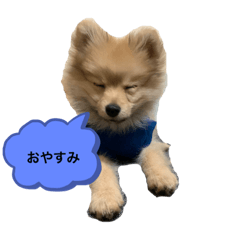 レアのつぶやき♪