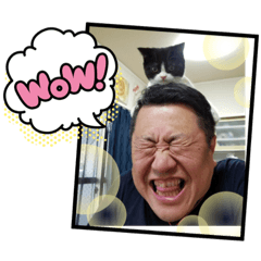 小亀大将。スタンプ