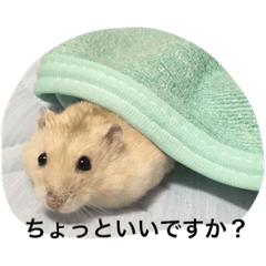 タルギの日常スタンプ