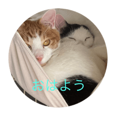 かみはつスタンプ1！