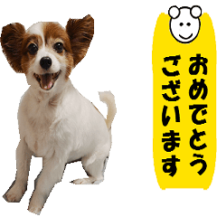 動く犬のパピィ-4 丁寧な言葉