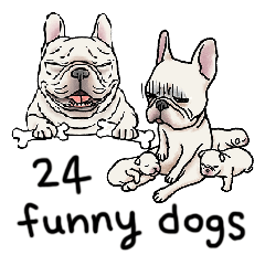 French bulldog's eventful Day