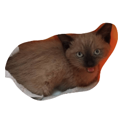 くいちゃんの使いやすいスタンプ