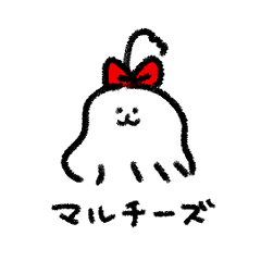 マルチーズのマルさん