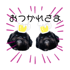 ペキシーのよもぎ2