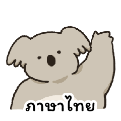 Koala bear daily THAI