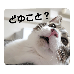 小太郎の日常スタンプ2