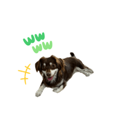 なんとうまるとむぎ ②