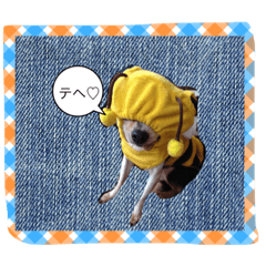 だいちゃんとしょうたのゆかいなスタンプ