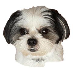 テッちゃん。。