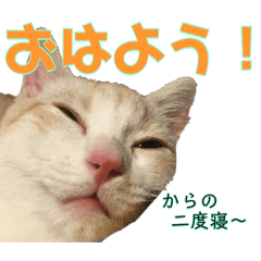 モンモンモンモンモン