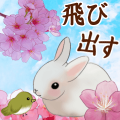 春のお花とさくらで挨拶❤️ウサギ&うぐいす