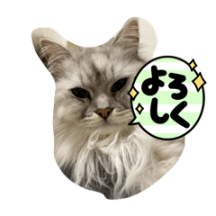 ポッキー君の気道哀楽