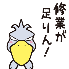 ハシビロコウは動かない！！