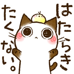 ちょこさん。～無気力な猫～