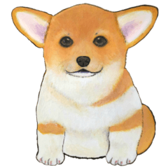 絵本みたいなコーギーのスタンプ