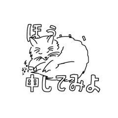 少し偉そうな猫