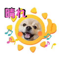 虎茶丸ハピネス龍之介365日