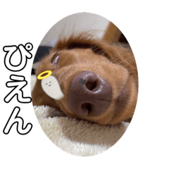 きなことゆうか3