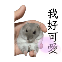 Allen_20220825125321