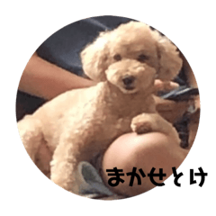 レオンスタンプ！！