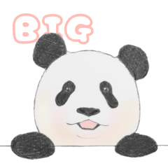 ころころこぱんだ（BIG）