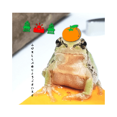 あまがえると年末年始