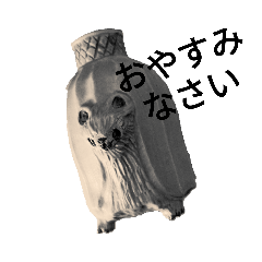 廣田哲哉のラインスタンプです