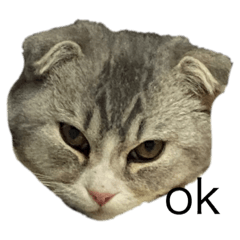 むぎたの日常。