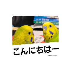 トリすたんぷ！