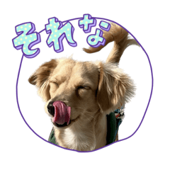 ウィンくんのスタンプ♡