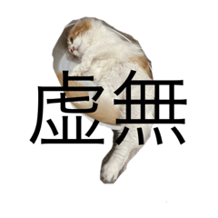 猫のラテちゃんーシュール編ー