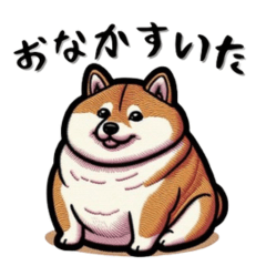 ぽっちゃりムッチリ柴犬