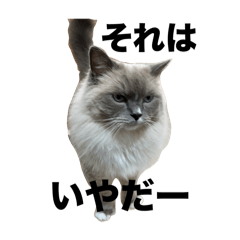 まるおのまるたん。