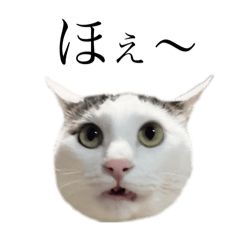 ふくまるのまいにち2