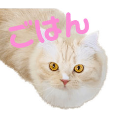 かわいいもなたん♡