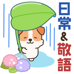雨の日でも陽気なジャックわんこ