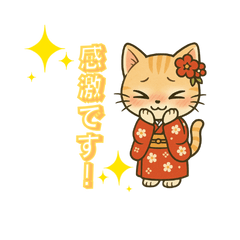 使える敬語、着物ねこ